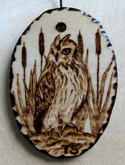short eared owl tanja sova pyrogaphy